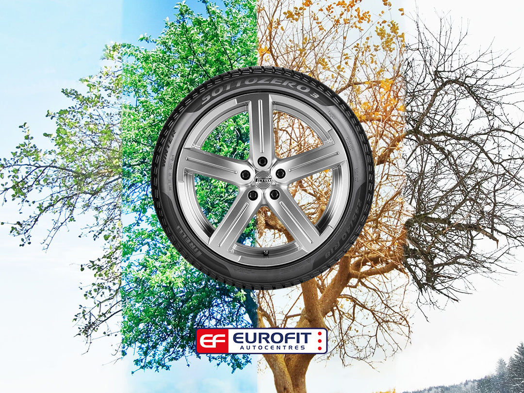 Car tyre on background tree going through all seasons 