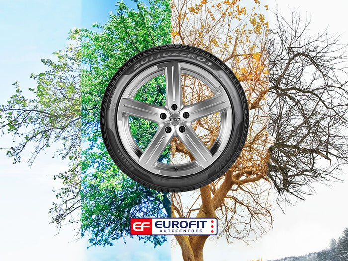 Car tyre on background tree going through all seasons 